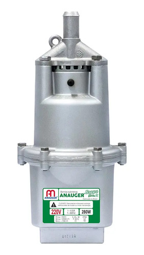 Bomba Submersa Sapo Anauger Poço Sappo Ecco Fit 220v 300w Prateado 220v