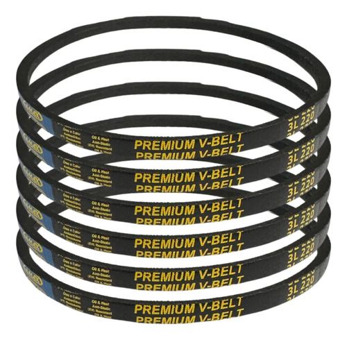5x Correia 3l 220 Electrolux Lte07 Lte08 Ltd09 Ltp10 Ltc10